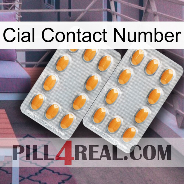 Cial Contact Number cialis4.jpg